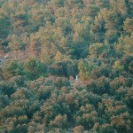 נוף 1997 - צלם לא ידוע