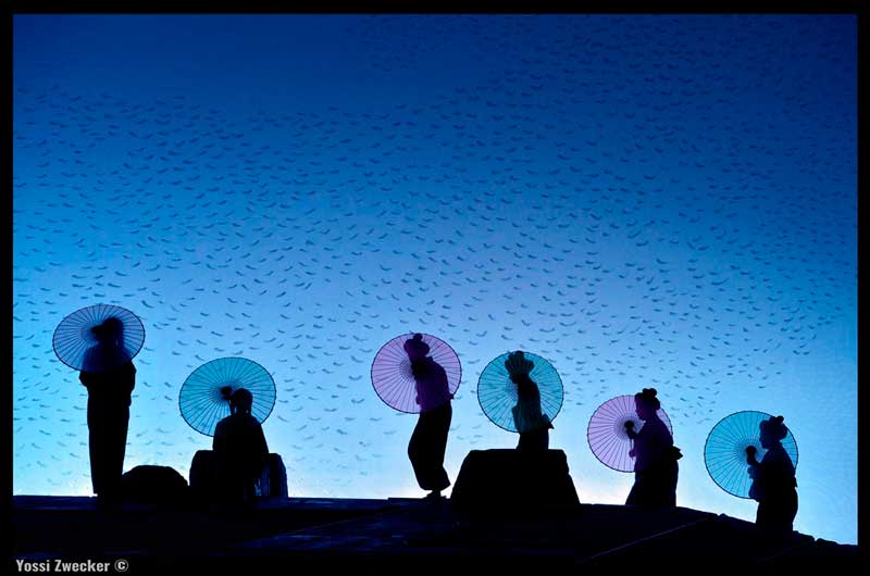 בית על גלגלים